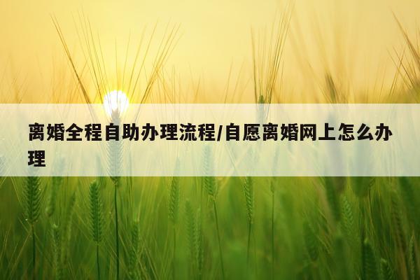 离婚全程自助办理流程/自愿离婚网上怎么办理