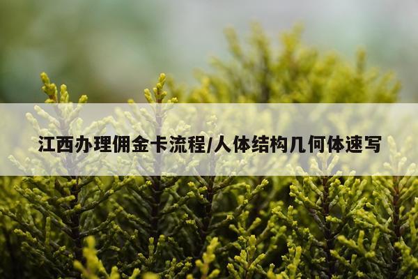 江西办理佣金卡流程/人体结构几何体速写