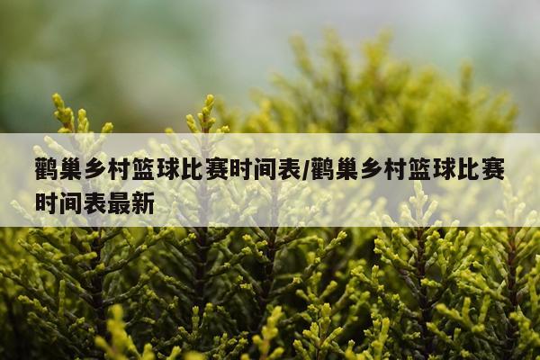 鹳巢乡村篮球比赛时间表/鹳巢乡村篮球比赛时间表最新