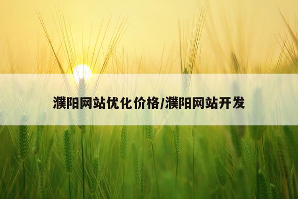 濮阳网站优化价格/濮阳网站开发