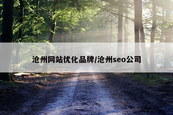 沧州网站优化品牌/沧州seo公司