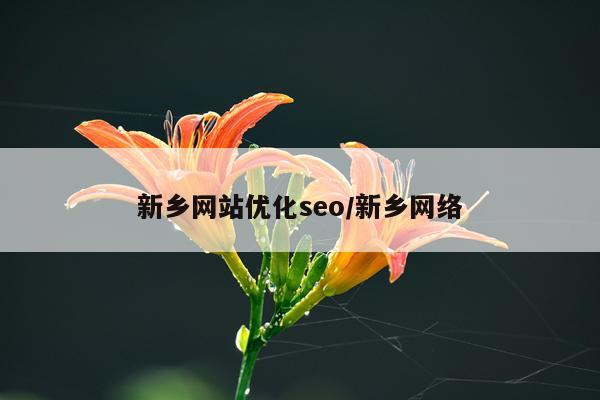 新乡网站优化seo/新乡网络