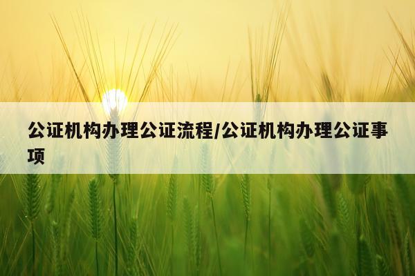 公证机构办理公证流程/公证机构办理公证事项