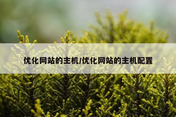 优化网站的主机/优化网站的主机配置