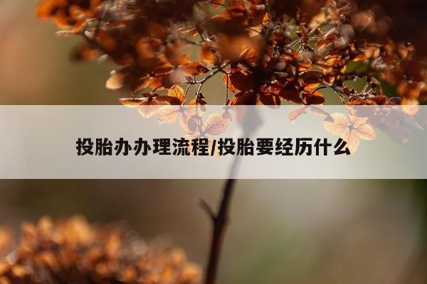 投胎办办理流程/投胎要经历什么