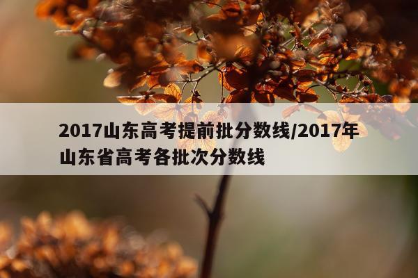 2017山东高考提前批分数线/2017年山东省高考各批次分数线