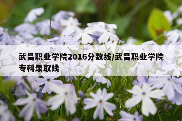 武昌职业学院2016分数线/武昌职业学院专科录取线