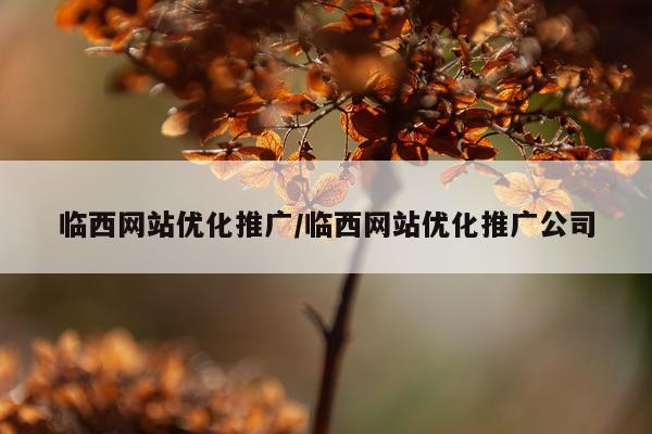 临西网站优化推广/临西网站优化推广公司