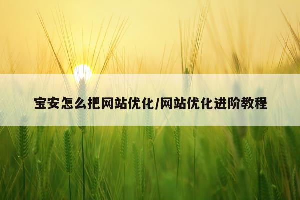宝安怎么把网站优化/网站优化进阶教程