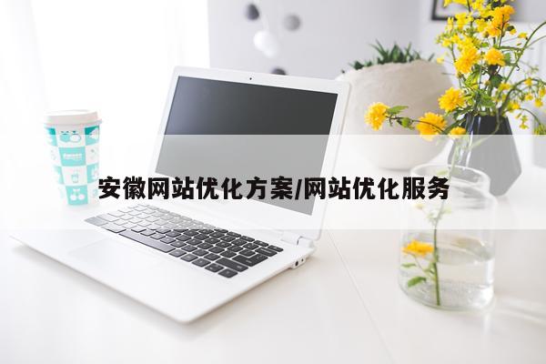 安徽网站优化方案/网站优化服务
