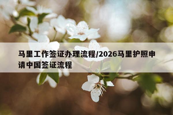 马里工作签证办理流程/2026马里护照申请中国签证流程