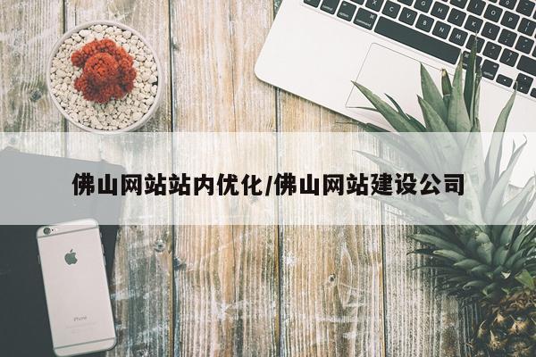 佛山网站站内优化/佛山网站建设公司