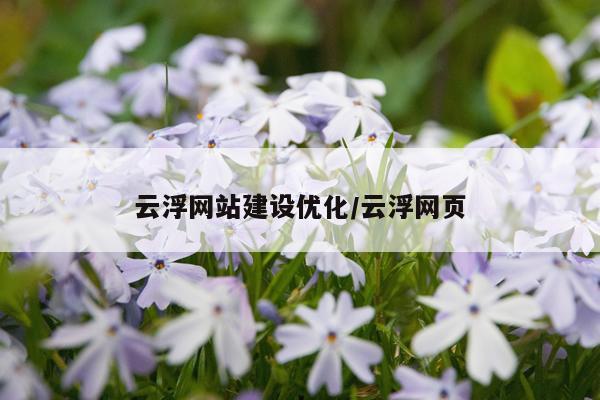 云浮网站建设优化/云浮网页