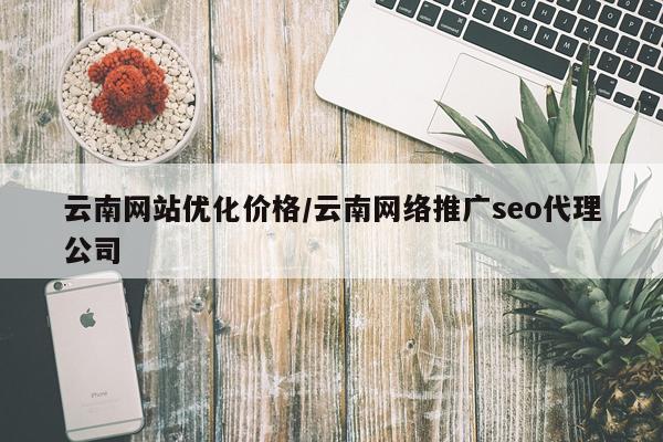 云南网站优化价格/云南网络推广seo代理公司