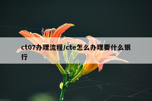 ct07办理流程/cte怎么办理要什么银行