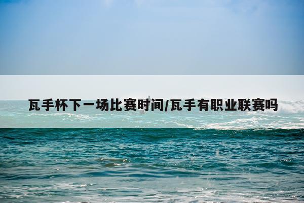 瓦手杯下一场比赛时间/瓦手有职业联赛吗