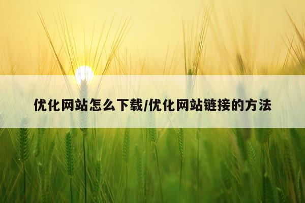 优化网站怎么下载/优化网站链接的方法