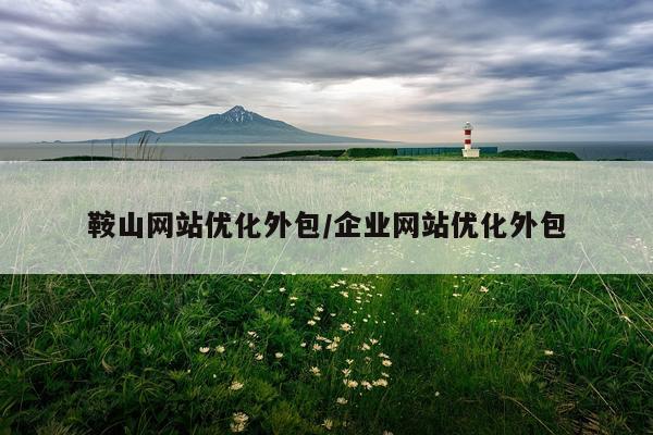 鞍山网站优化外包/企业网站优化外包