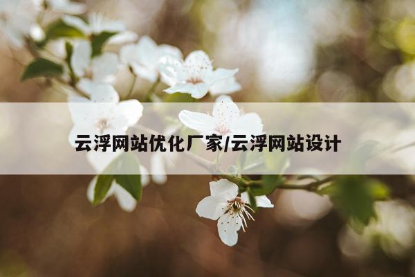 云浮网站优化厂家/云浮网站设计
