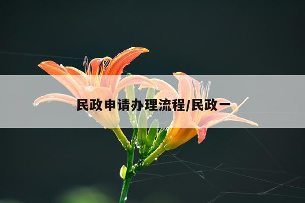 民政申请办理流程/民政一
