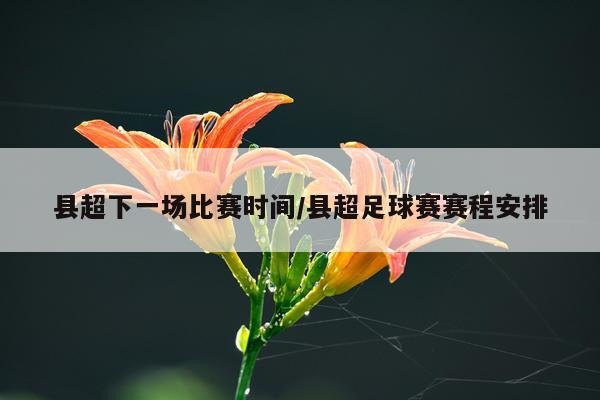 县超下一场比赛时间/县超足球赛赛程安排