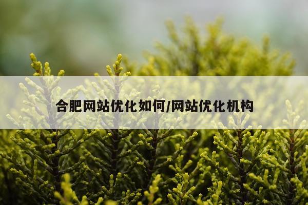 合肥网站优化如何/网站优化机构