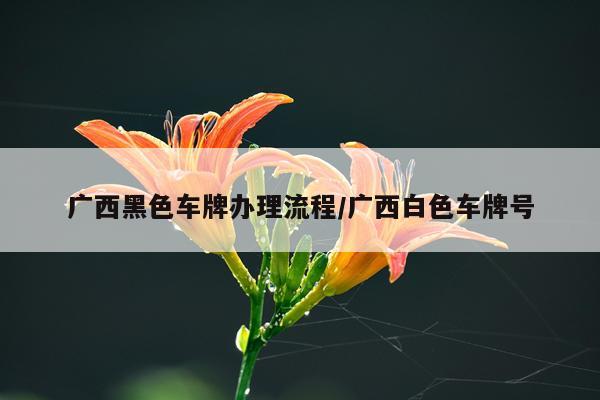 广西黑色车牌办理流程/广西白色车牌号