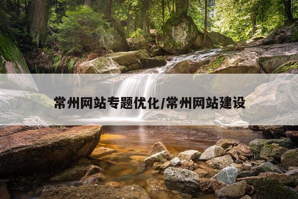 常州网站专题优化/常州网站建设