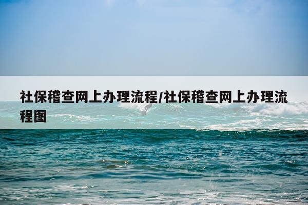 社保稽查网上办理流程/社保稽查网上办理流程图