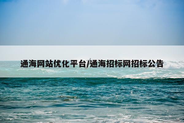 通海网站优化平台/通海招标网招标公告