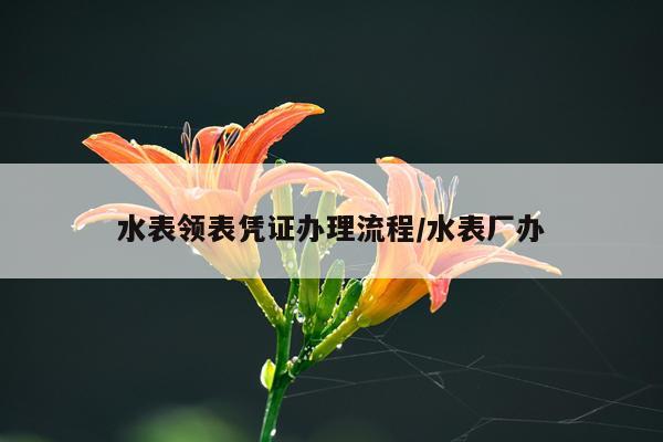 水表领表凭证办理流程/水表厂办