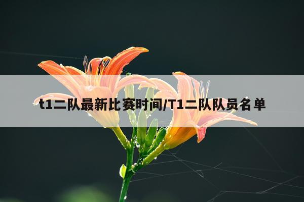t1二队最新比赛时间/T1二队队员名单