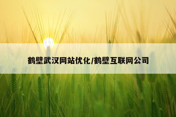 鹤壁武汉网站优化/鹤壁互联网公司