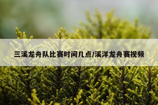 三溪龙舟队比赛时间几点/溪洋龙舟赛视频
