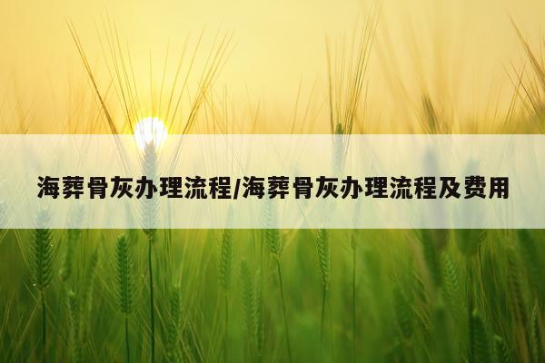 海葬骨灰办理流程/海葬骨灰办理流程及费用