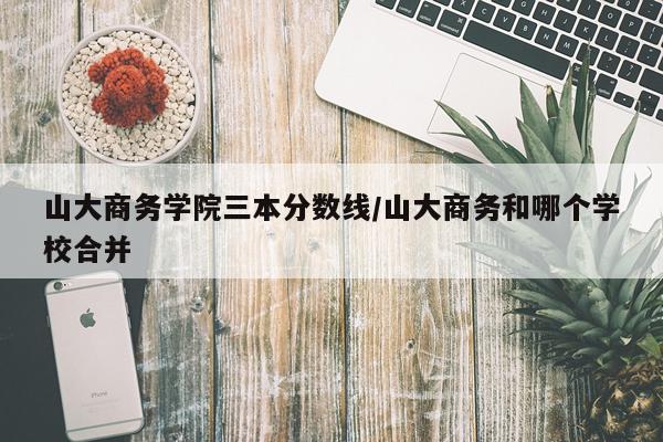 山大商务学院三本分数线/山大商务和哪个学校合并