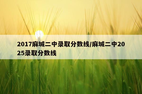 2017麻城二中录取分数线/麻城二中2025录取分数线