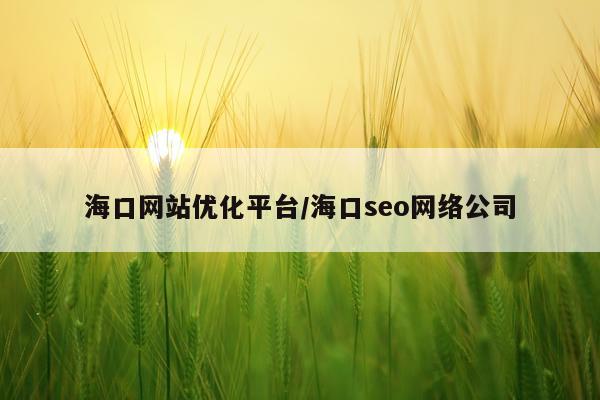 海口网站优化平台/海口seo网络公司