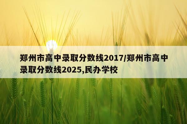 郑州市高中录取分数线2017/郑州市高中录取分数线2025,民办学校