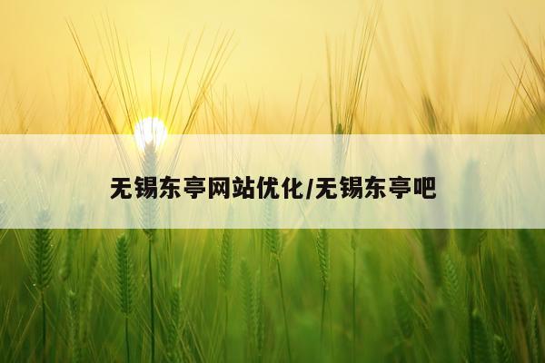 无锡东亭网站优化/无锡东亭吧