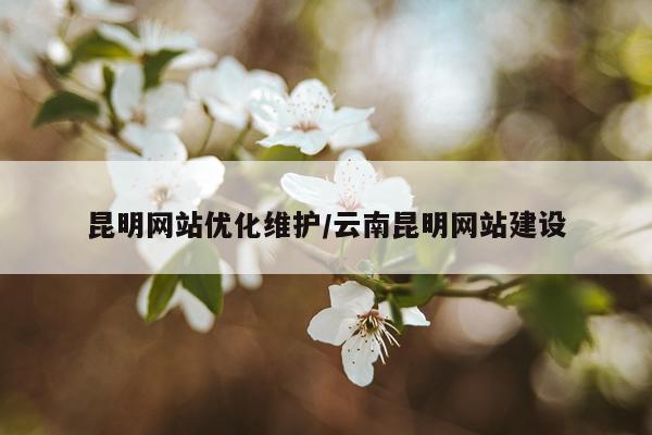 昆明网站优化维护/云南昆明网站建设