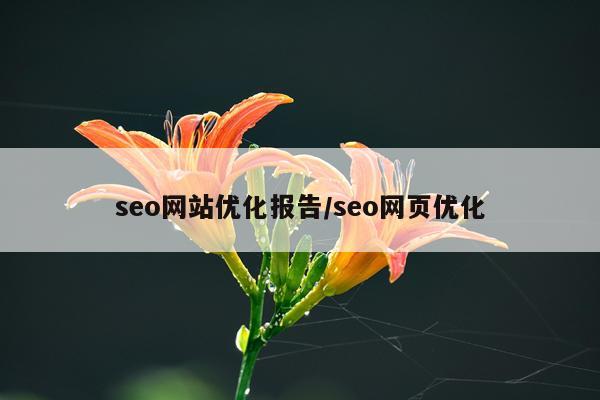 seo网站优化报告/seo网页优化