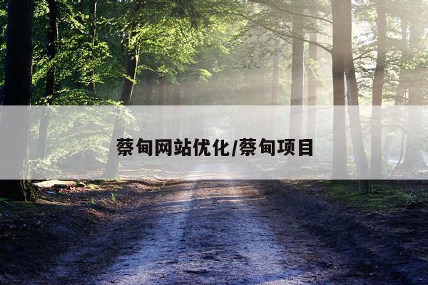 蔡甸网站优化/蔡甸项目