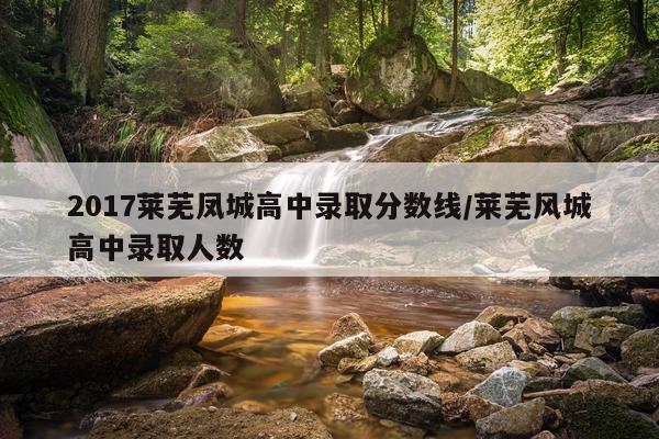 2017莱芜凤城高中录取分数线/莱芜风城高中录取人数