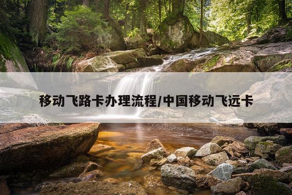 移动飞路卡办理流程/中国移动飞远卡