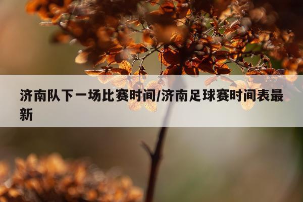 济南队下一场比赛时间/济南足球赛时间表最新