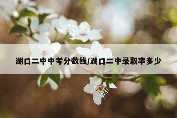 湖口二中中考分数线/湖口二中录取率多少