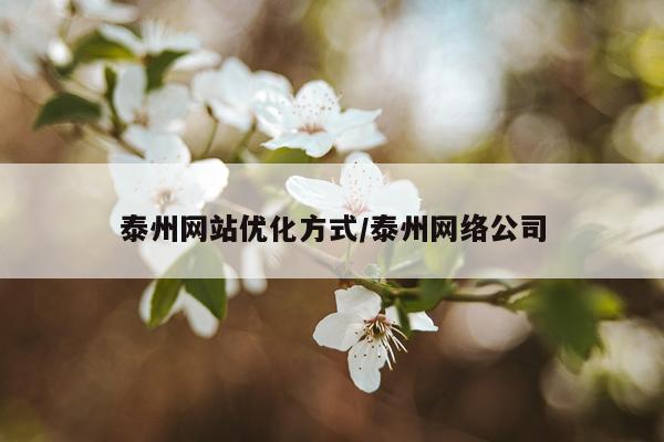 泰州网站优化方式/泰州网络公司