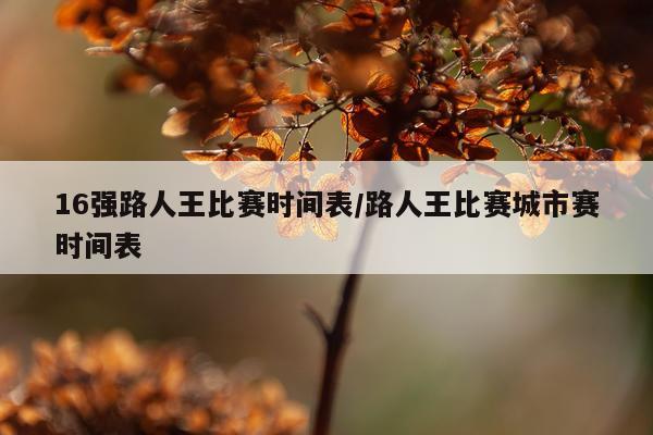 16强路人王比赛时间表/路人王比赛城市赛时间表