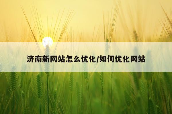 济南新网站怎么优化/如何优化网站